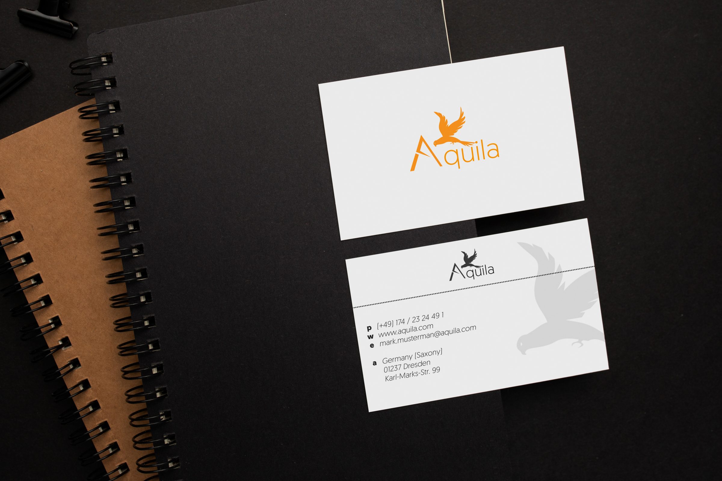 Aquila
